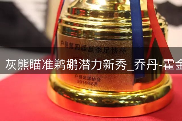 灰熊瞄准鹈鹕潜力新秀 乔丹-霍金斯或成交易筹码